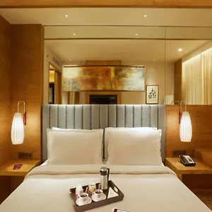 4* Hotel Ocean Near Delhi Airport